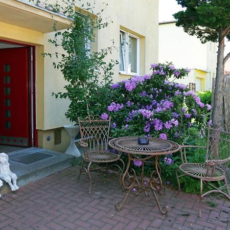 Cozy Souterrain-Half-Basement-Apartment Included 2 Bicycles Берлин Екстериор снимка